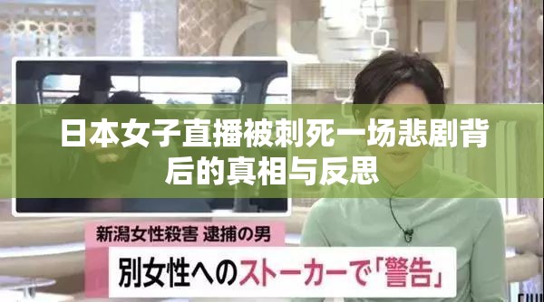 日本女子直播被刺死一场悲剧背后的真相与反思