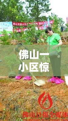 佛山一小区惊现“骨灰房”装修？真相让人直呼离谱！