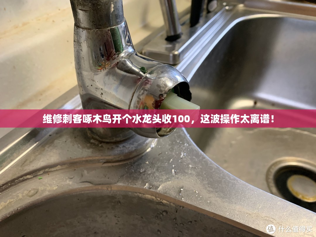 维修刺客啄木鸟开个水龙头收100，这波操作太离谱！