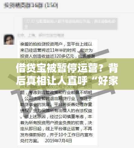 借贷宝被暂停运营？背后真相让人直呼“好家伙”！