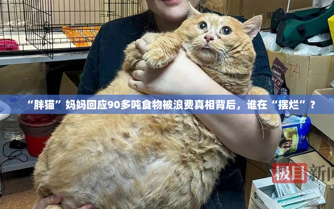 “胖猫”妈妈回应90多吨食物被浪费真相背后，谁在“摆烂”？