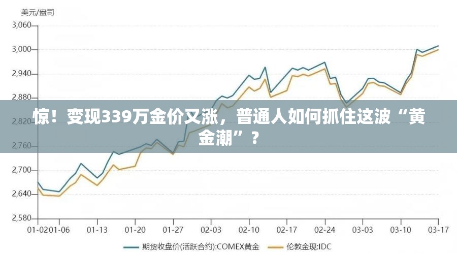 变现339万金价又涨